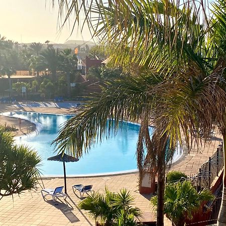 Fuerteventura Apartments Corralejo Eksteriør billede