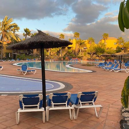 Fuerteventura Apartments Corralejo Eksteriør billede