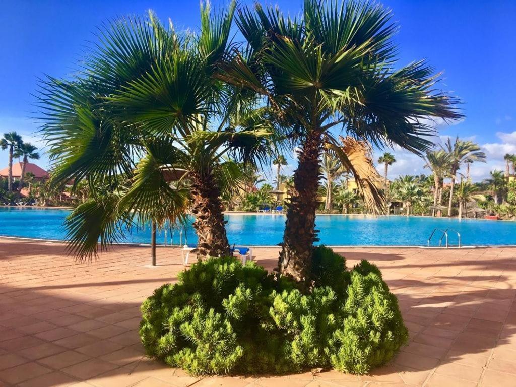 Fuerteventura Apartments Corralejo Eksteriør billede