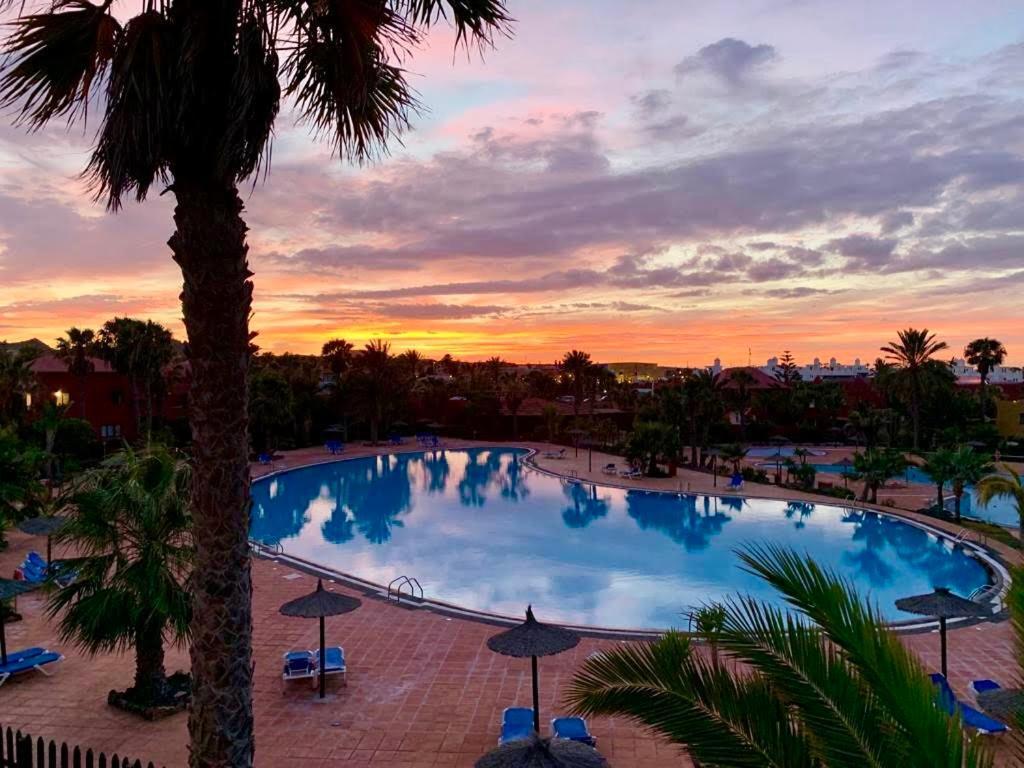 Fuerteventura Apartments Corralejo Eksteriør billede