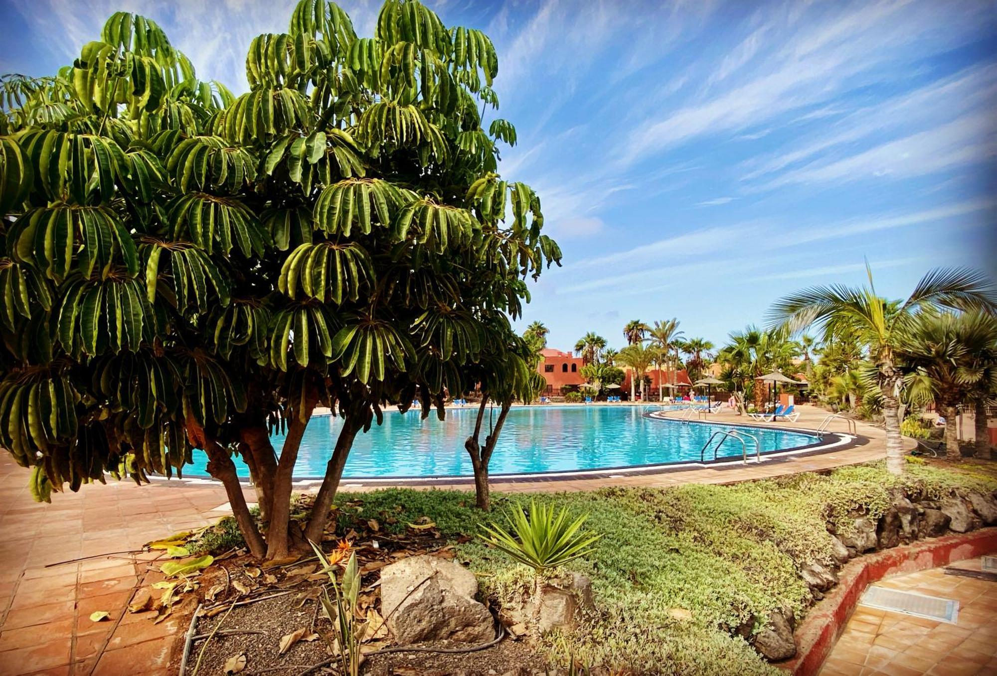 Fuerteventura Apartments Corralejo Eksteriør billede