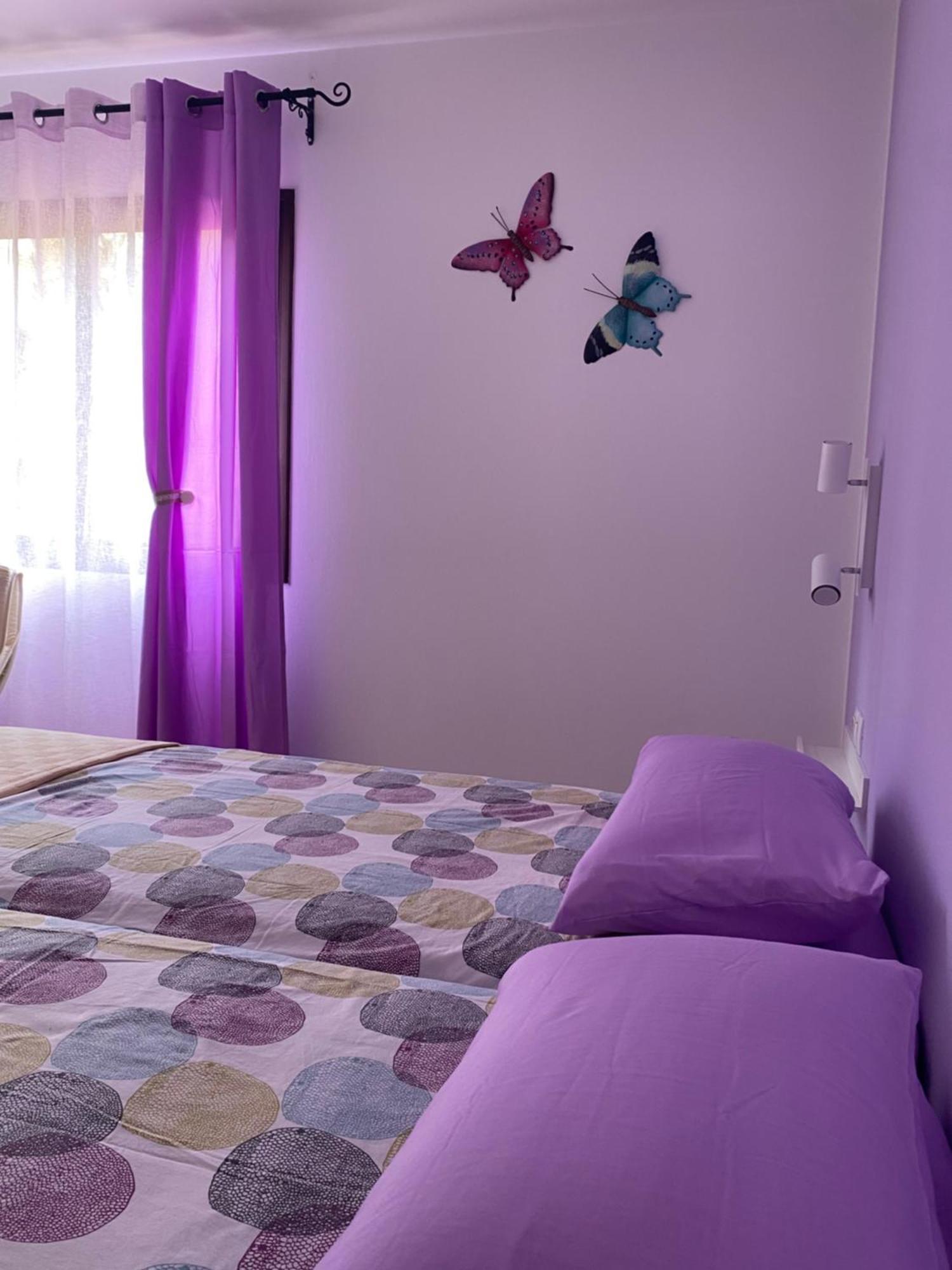Fuerteventura Apartments Corralejo Eksteriør billede