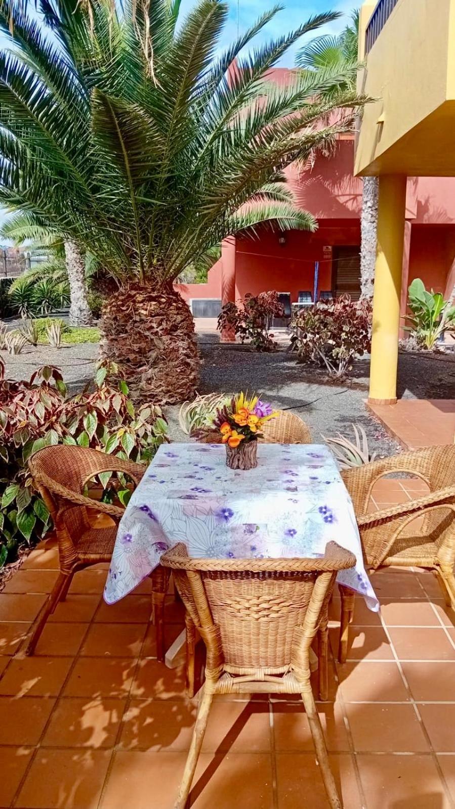Fuerteventura Apartments Corralejo Eksteriør billede
